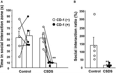 Decreased Colonic Guanylin/Uroguanylin Expression and Dried Stool Property in Mice With Social Defeat Stress